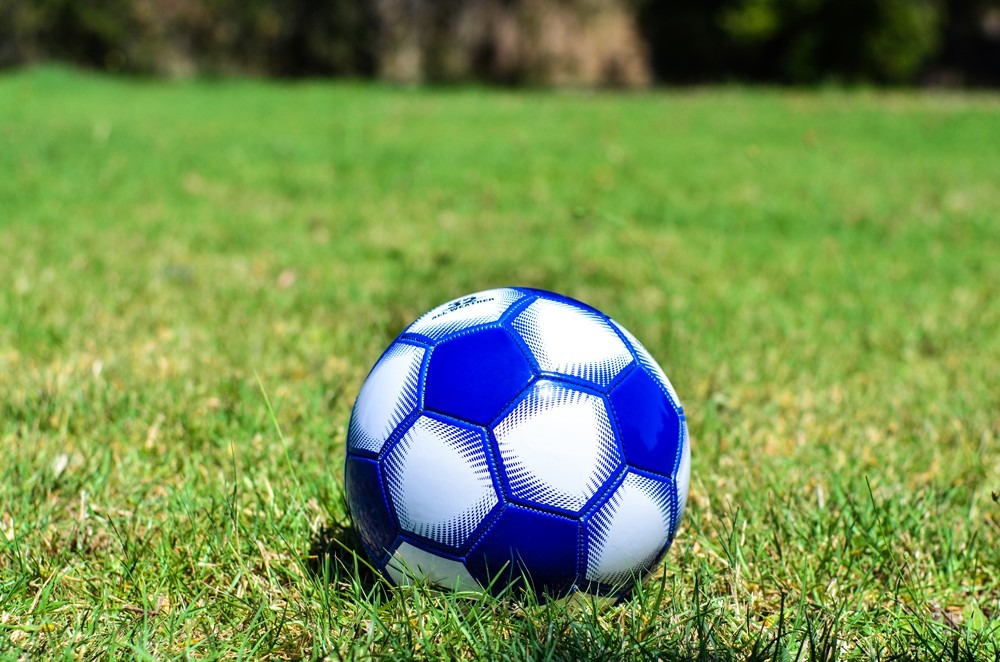Winsher Soccer Ball - Hawk (Blue)