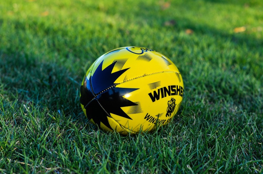 Winsher Rugby- Coach