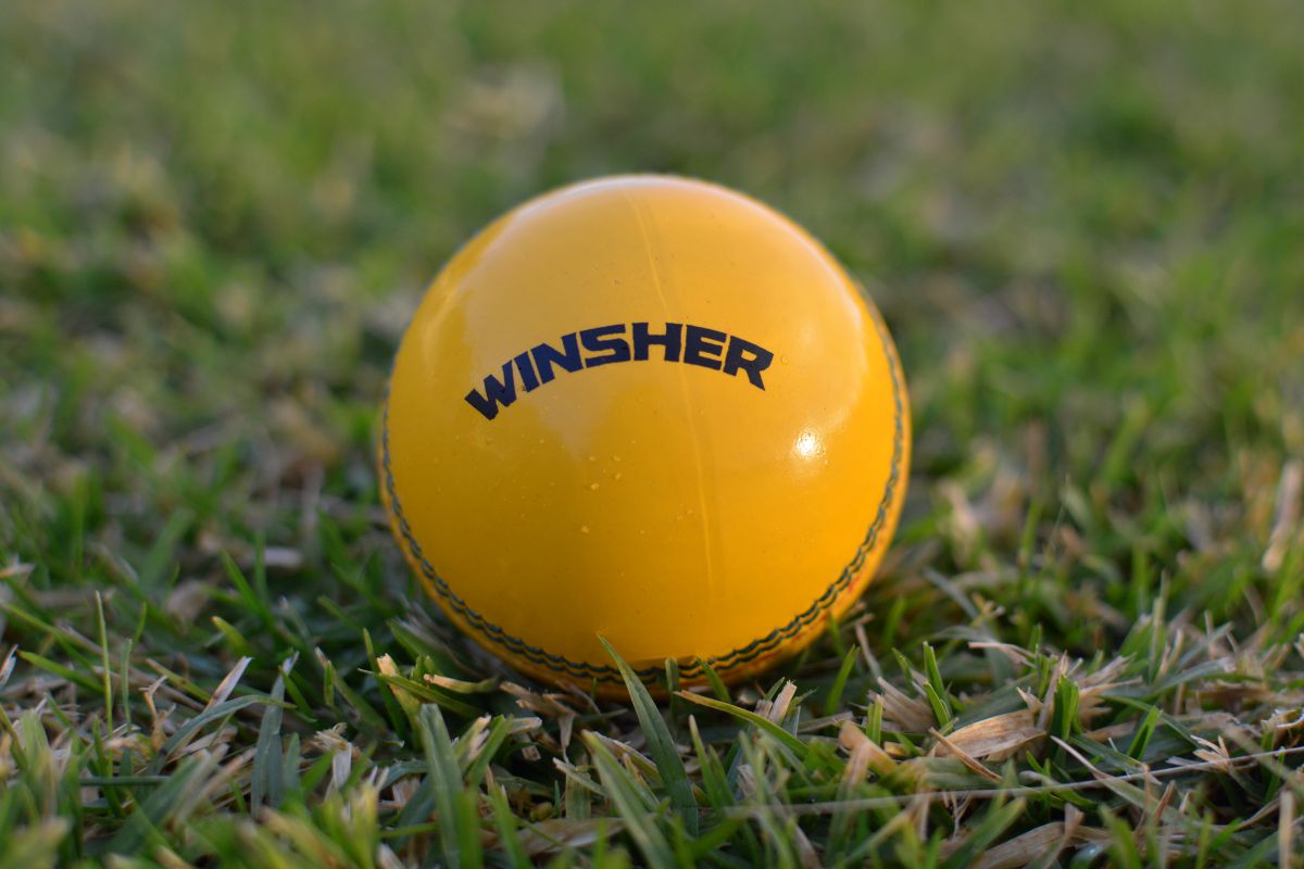 Winsher Sports Yellow Cricket Ball