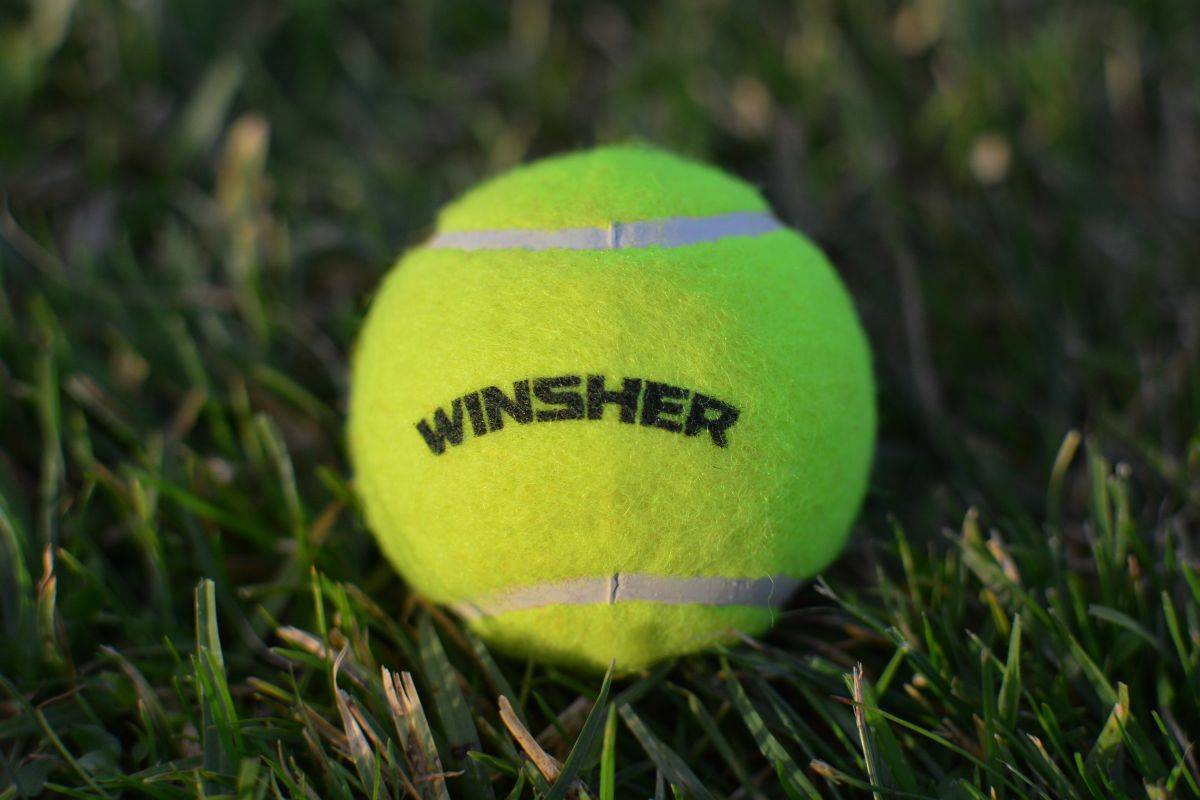 winsher sports tennis ball green