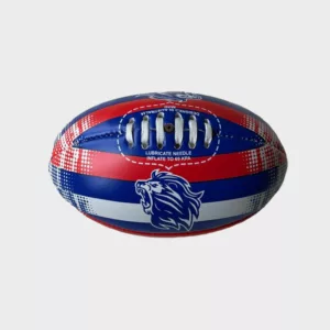 Winsher Custom Mini Soft Touch Football